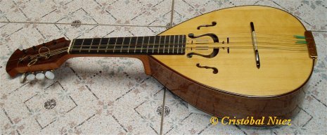 mandolina1.jpg