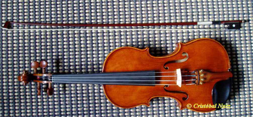 violin1.jpg